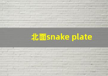 北面snake plate